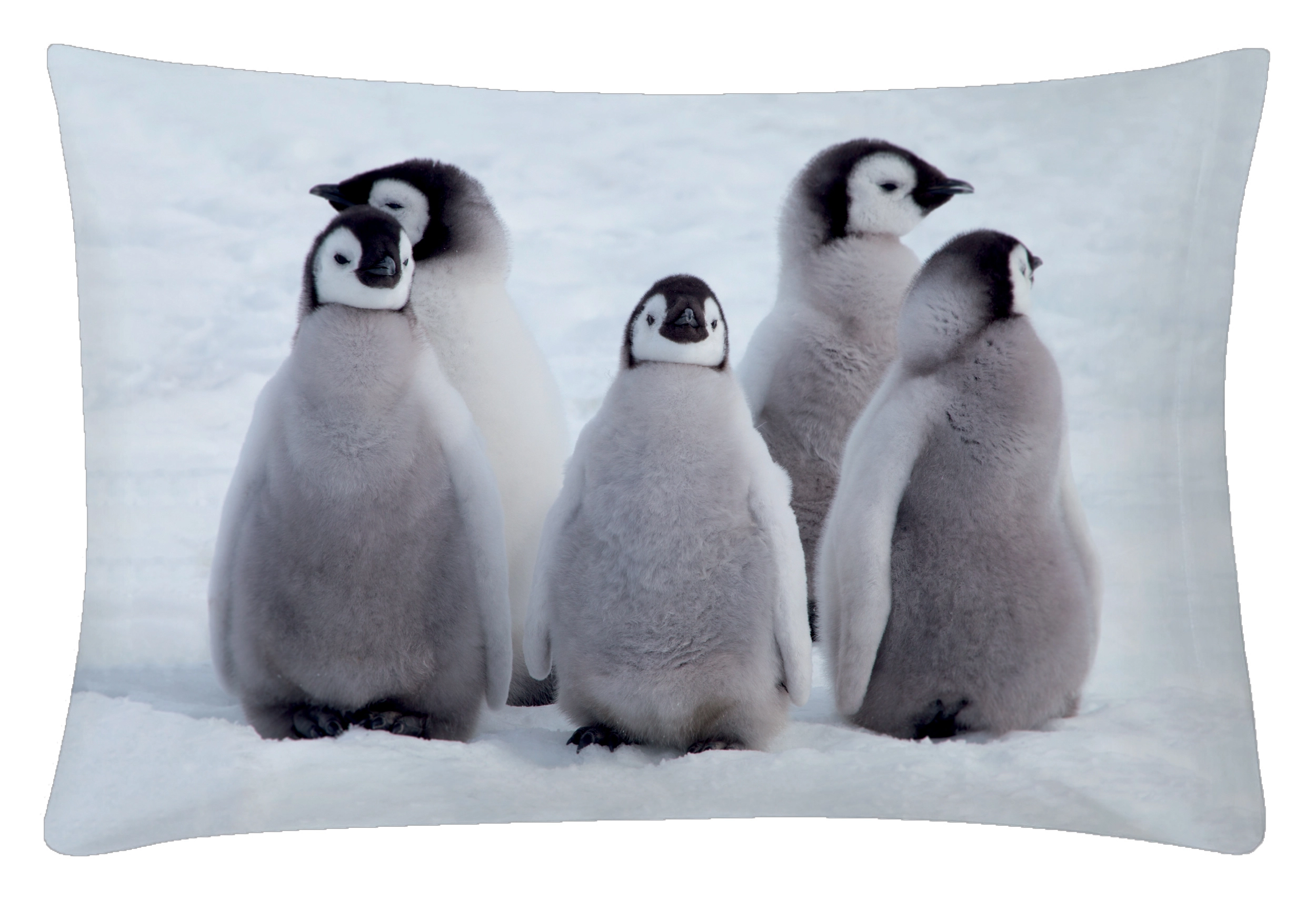 Federa per cuscino natalizia Artic Valley 50 x 80 cm