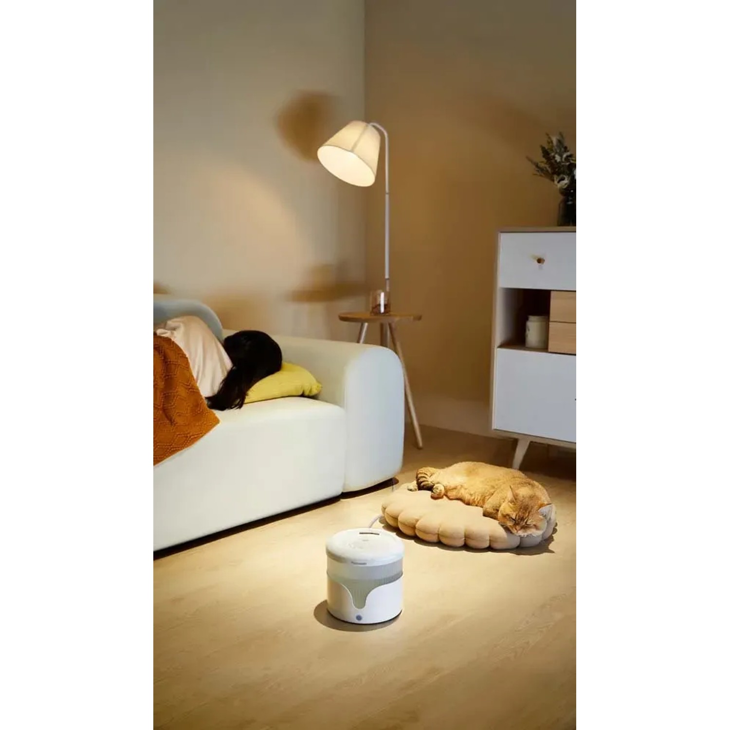 Distributore di cibo per gatti t.b.t. in ambiente domestico.