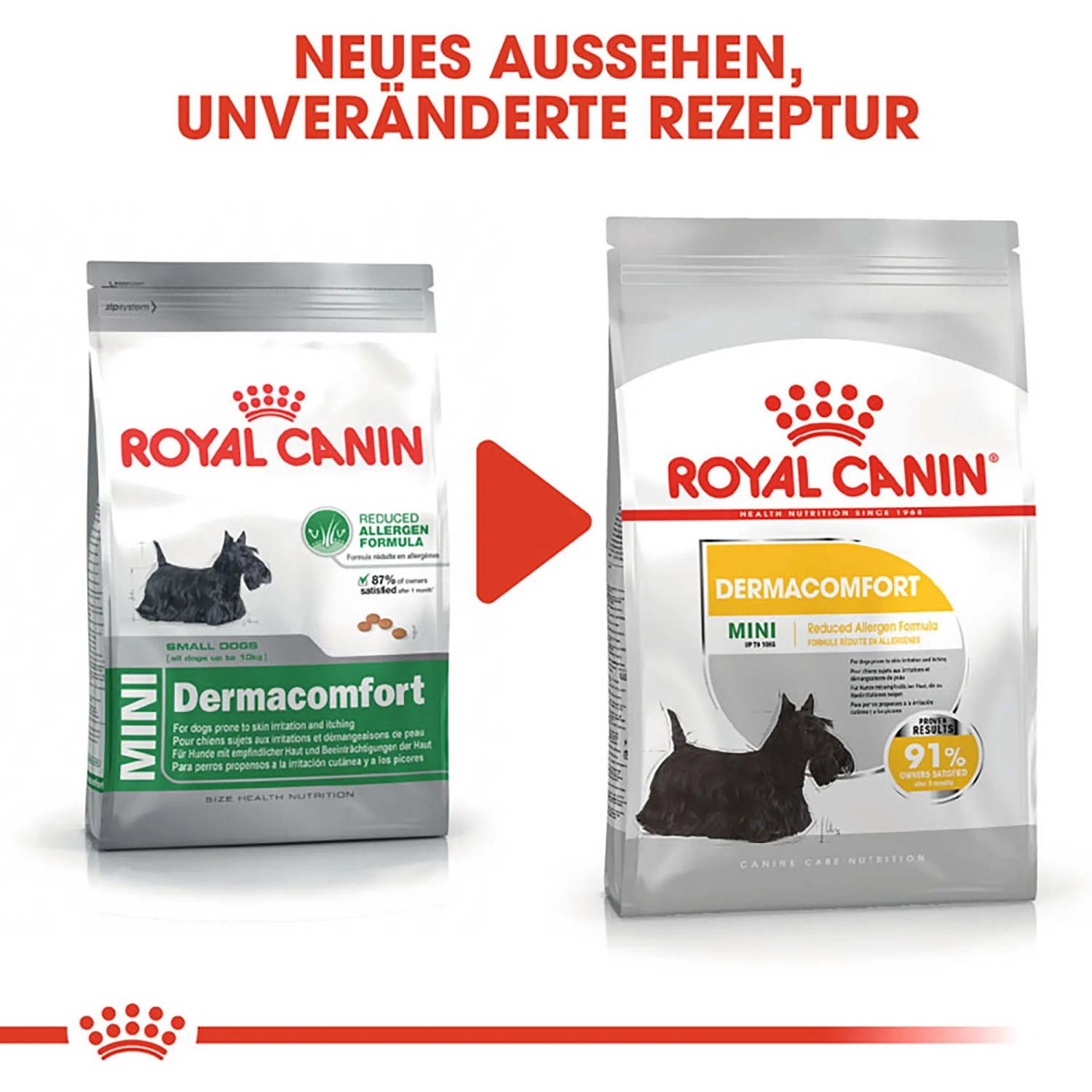 Royal Canin Dermacomfort Mini cibo secco per cani con pelle sensibile, confezione da 1 kg.
