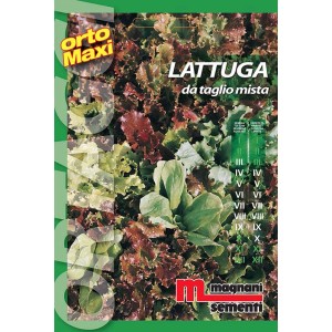 Confezione di semi per lattuga da taglio, varietà miste. Ideale per coltivare ortaggi in giardino.