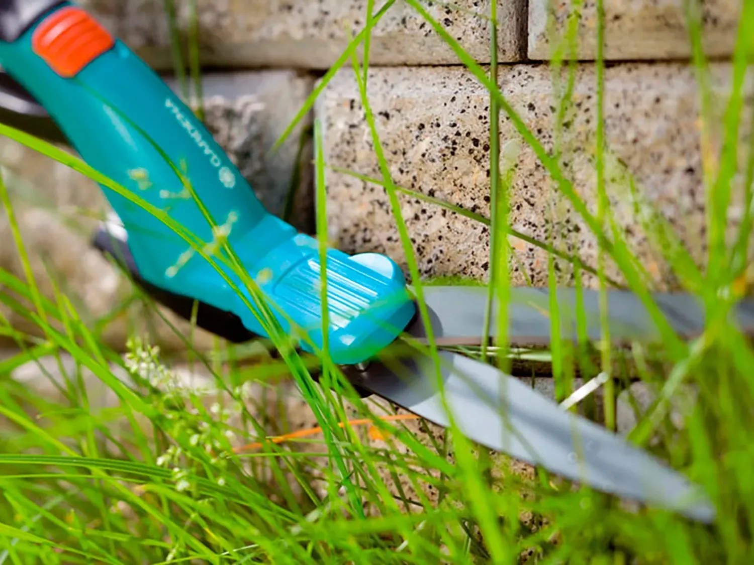 Forbici Per Erba Bulldog Evergreen | A Manico Lungo 965mm | Lama 200mm - Foto 7