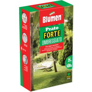 Confezione di sementi per prato ombreggiato Blumen, adatte per zone ombreggiate.