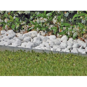 Bordura da giardino con pietre bianche e piante fiorite. Ideale per il design del giardino.