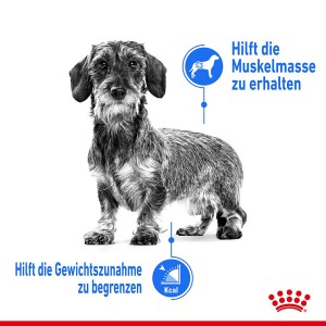 Royal Canin Light Weight Care alimento umido per cani, per il controllo del peso e il mantenimento della massa muscolare.