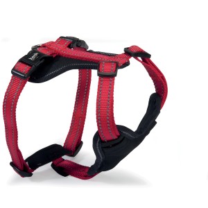 Pettorina per cani t.b.t. rossa con imbottitura nera e cinghie regolabili.