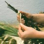 Mani che legano un bouquet con rafia naturale. Rafia color naturale per decorazioni e giardinaggio.