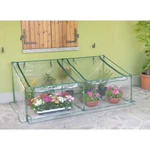 Piccola serra a tunnel con piante in vaso sotto copertura trasparente.