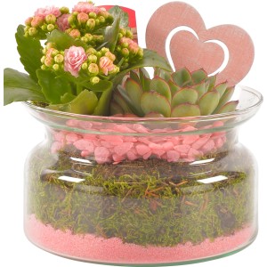 t.b.t. Composizione di piante da interno con kalanchoe, succulenta e cuore decorativo in vaso di vetro.