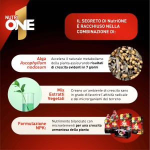 Ingredienti NutriONE: alghe, estratti vegetali e formulazione NPK per concime universale.