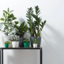Diversi vasi Elho Brussels Mini in bianco, verde e grigio con piante su un tavolo.