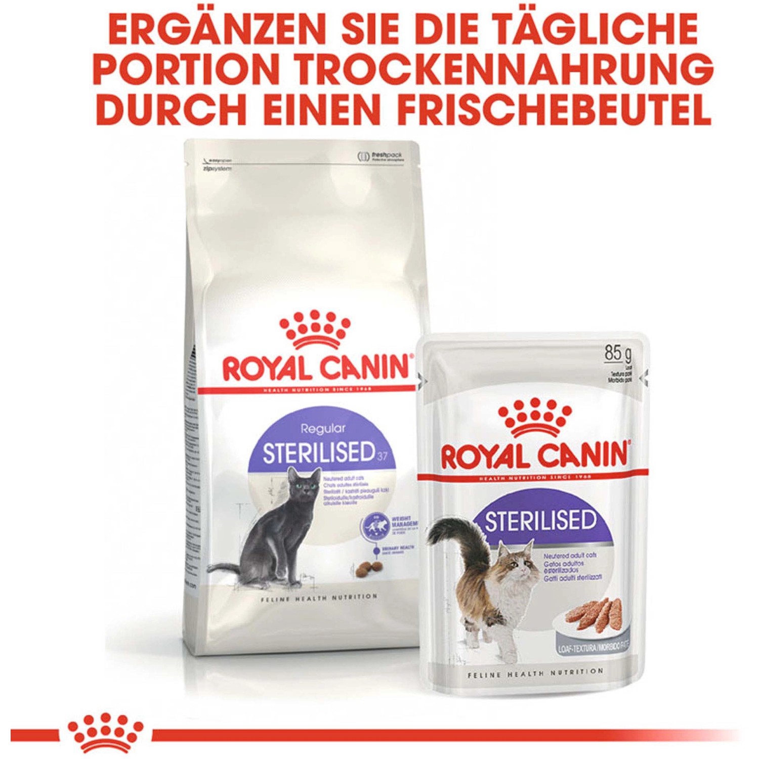 Royal Canin Sterilised cibo secco per gatti sterilizzati, confezione da 2 kg e busta freshness.