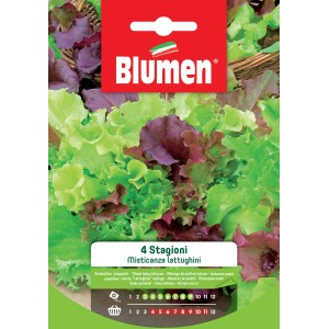 Confezione di semi per insalata mista "t.b.t.", ideale per la coltivazione nell'orto.
