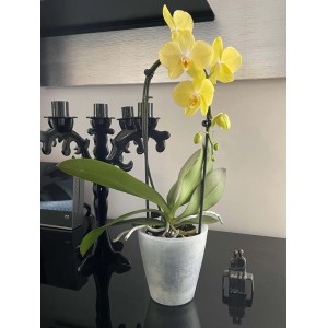 Coprivaso plastica riciclata Ø 13 cm alabastro satinato