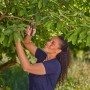 Donna che taglia un ramo in giardino con le cesoie Gardena PremiumCut.