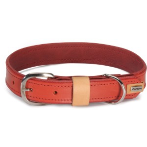 Collare per cani in pelle rossa con fibbia in metallo per cani di taglia piccola e media.