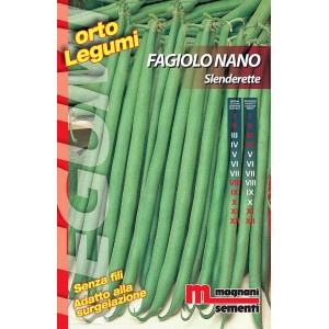 Confezione di semi per fagiolini nani t.b.t. (Semi da orto).