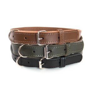 Collari per cani in marrone, verde e nero.