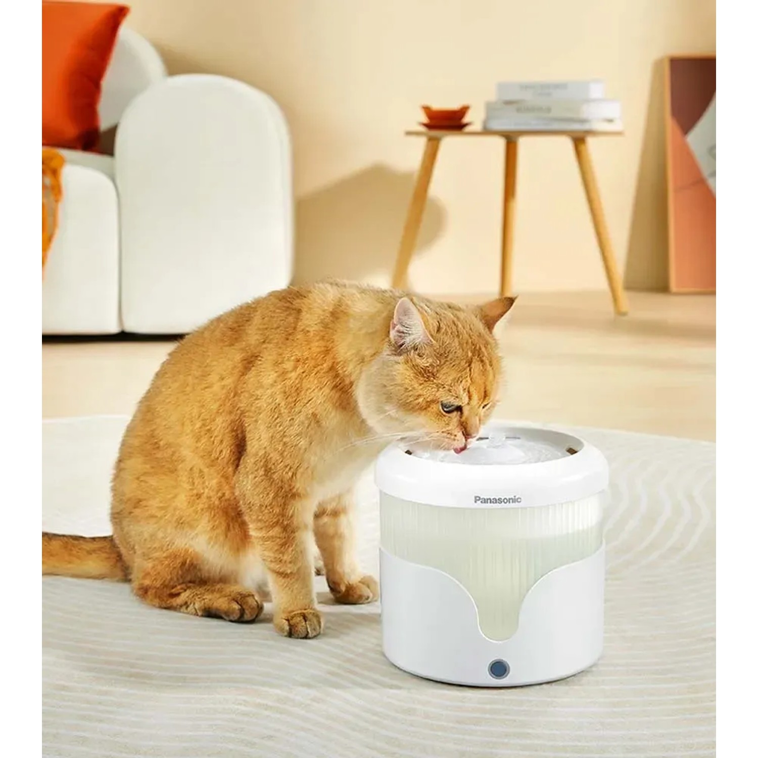 Gatto beve da una fontanella d'acqua bianca e rotonda per gatti.