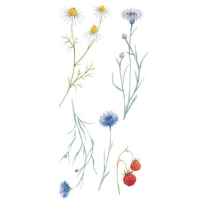Adesivo da parete con motivi ad acquerello: camomilla, fiordalisi e fragole.