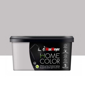 Pittura home color superlavabile igienizzante silver 2,5 l