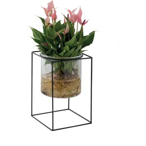 Anturio rosa in vetro con struttura in metallo nero.