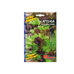 Confezione di semi per lattuga da taglio mista. Ideale per coltivare erbe fresche in giardino.