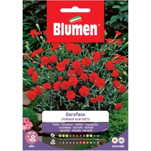 Semi per fiori: Garofano 'Chabaud Scarlatto' per fioriture colorate in giardino.