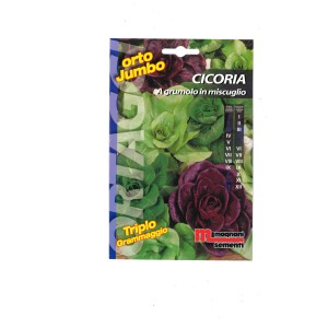 Bustina di semi con diverse varietà di cicoria per la coltivazione in giardino.