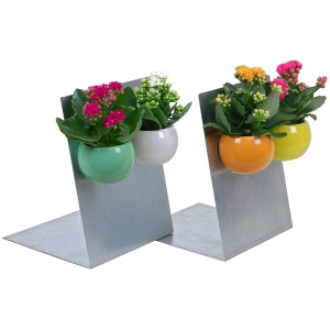 Kalanchoe in vaso magnetico, vari colori.