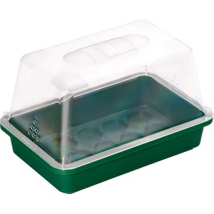 Vassoio per semenzaio da davanzale verde con coperchio trasparente, 29x19x6 cm.