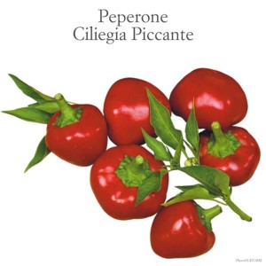 Peperoncini rossi e rotondi "Ciliegia Piccante" (ciliegia) con foglie verdi.