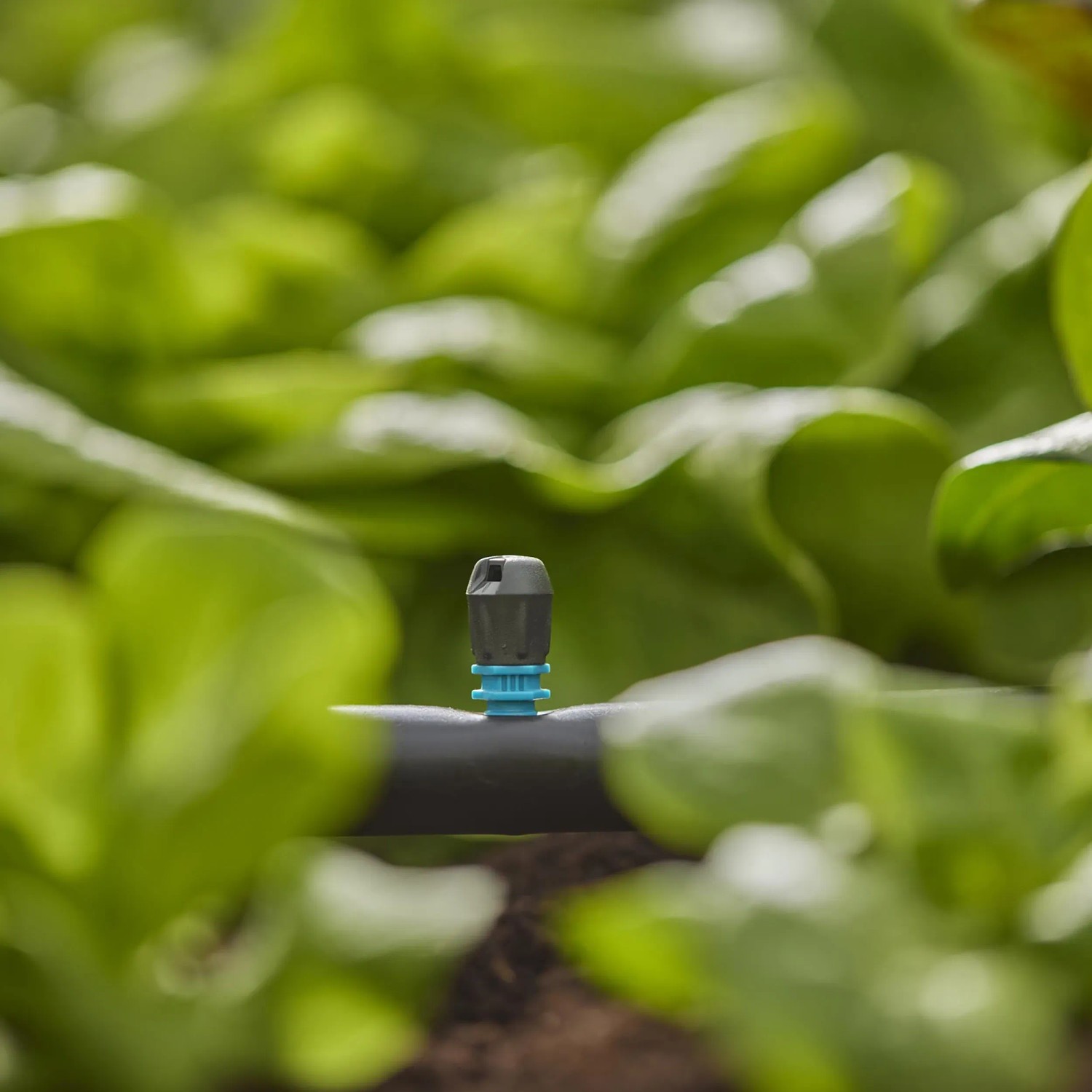 Irrigatore a striscia Gardena nel sistema Micro-Drip per irrigare aree strette del giardino.