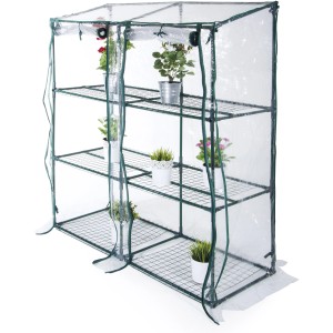 Serra t.b.t. con ripiani e copertura trasparente.