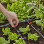 Irrigazione con t.b.t. Raccordi: Irrigazione a goccia in orto con lattuga e pomodori.