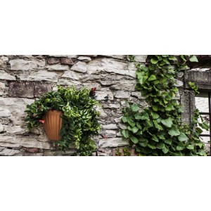 Gerla in terracotta rigata 25 cm