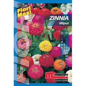 Confezione di semi Zinnia Lilliput: Fiori in vari colori.