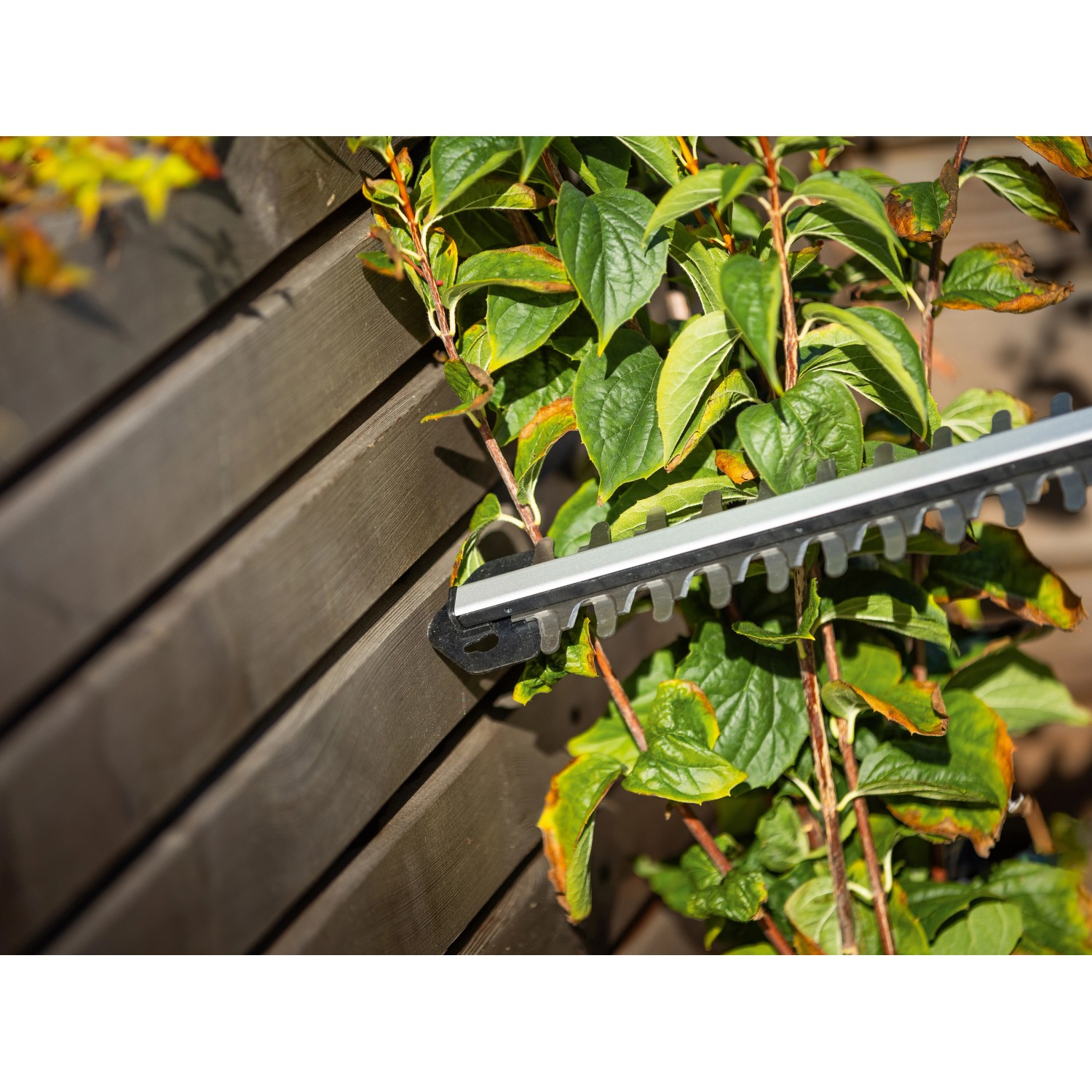 Tagliasiepi a batteria LUX taglia una siepe. Incl. batteria e caricabatterie.