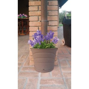 Vaso per piante t.b.t. marrone con fiori viola su un patio.