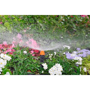 Irrigazione con Microirrigazione t.b.t. in giardino con fiori.