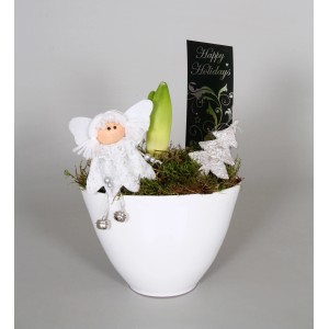 Composizione di Amaryllis in vaso di ceramica bianca con angelo e decorazioni.