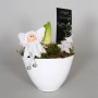 Composizione di Amaryllis in vaso di ceramica bianca con angelo e decorazioni.
