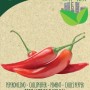 Semi biologici di peperoncino di Cayenna: Chili piccante per l'orto.