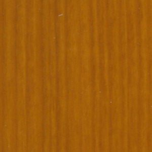 Primo piano di una texture in legno marrone per pitture per esterni.