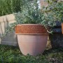Vaso per piante Patavium in terracotta graffiato ø 20 cm_2
