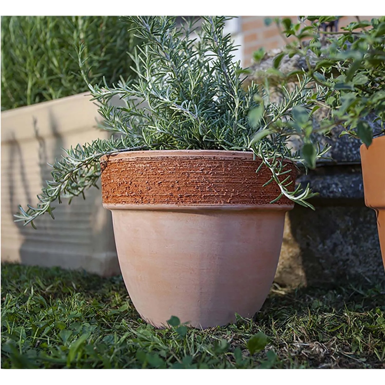 Vaso per piante Patavium in terracotta graffiato ø 20 cm_2