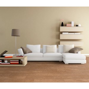 Soggiorno con piastrelle per pavimenti effetto legno. Divano chiaro e scaffali su parete beige.