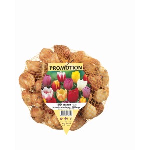 Rete con 100 bulbi di tulipano, colori misti, ideale per il giardino.