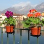 Due fioriere da balcone con primule colorate sulla ringhiera, montagne sullo sfondo.