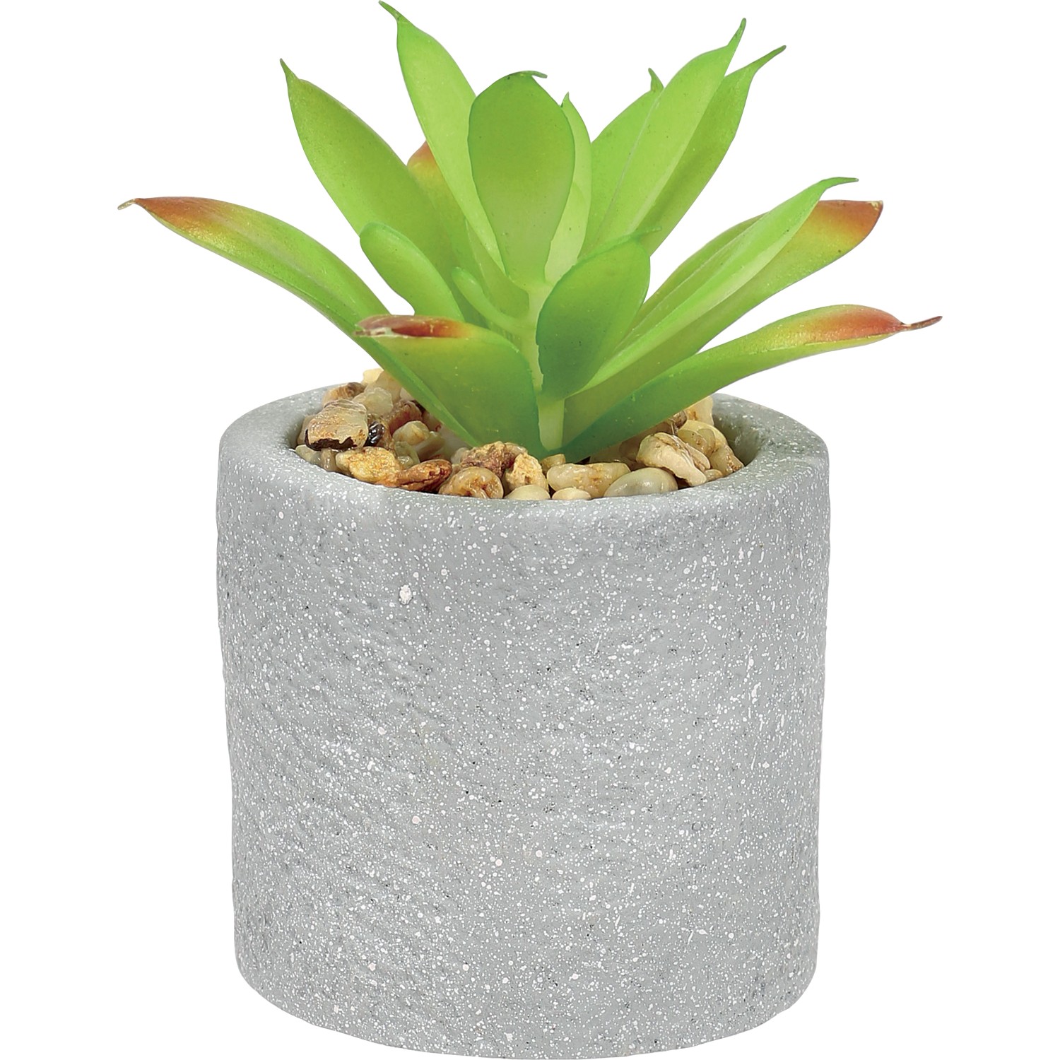 Vaso per piante effetto pietra 5x5x8 cm grigio con Agave OBI