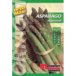 Confezione di semi di asparagi 'Argenteuil' per l'orto.